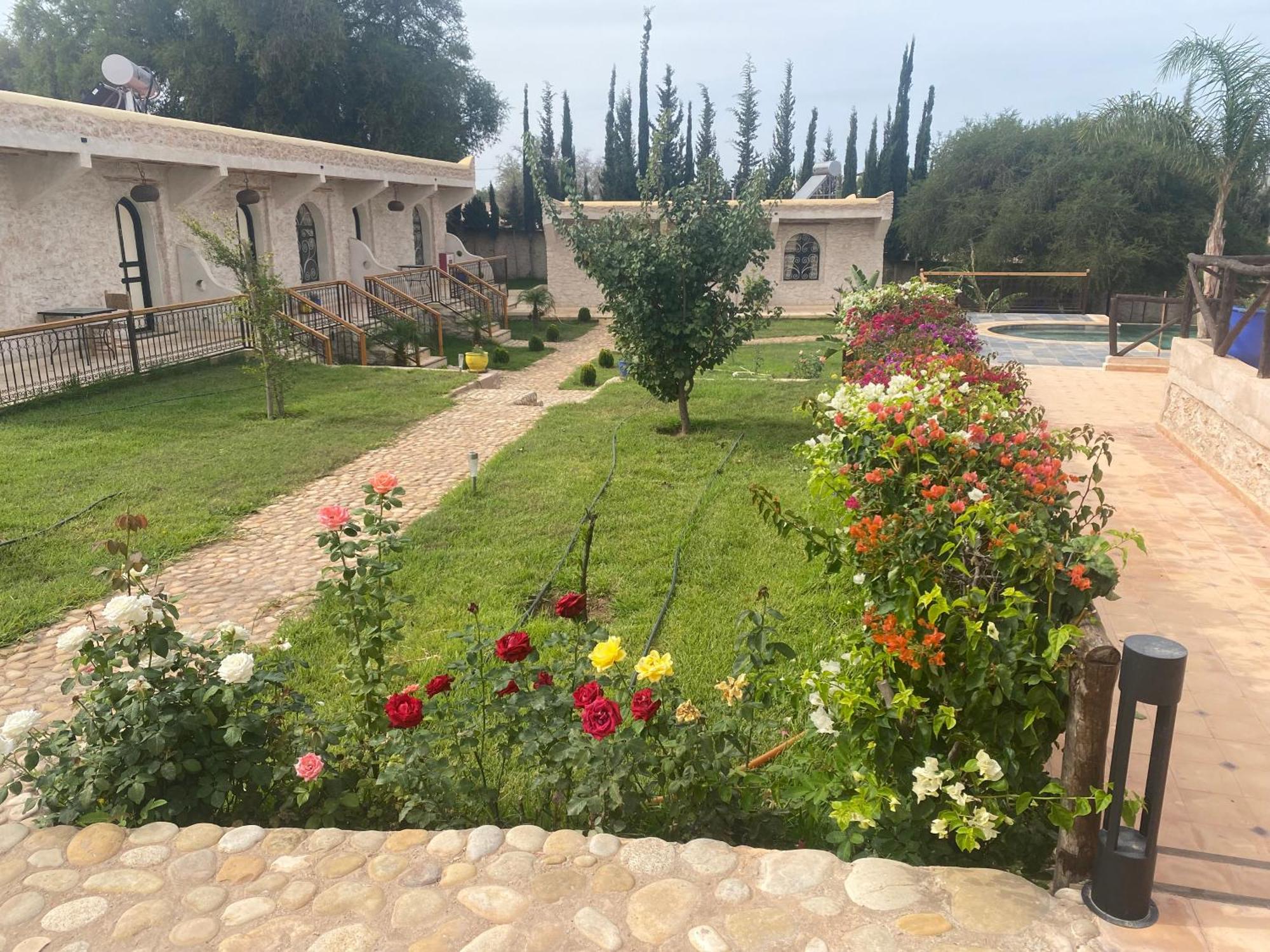 Villa Amma Essaouira Bagian luar foto