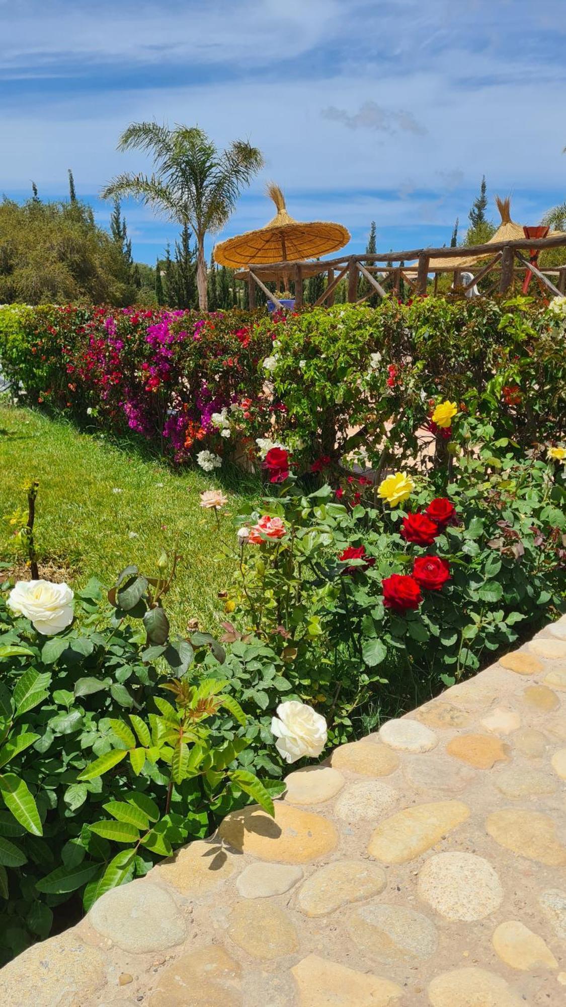 Villa Amma Essaouira Bagian luar foto